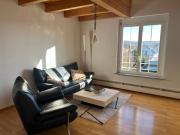 Stylish apartment near Rheinfall Schaffhausen