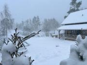 Top Gowidlino Top Gowidlino