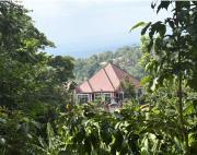 Kilimanjaro Forest Lodge and Camping Site