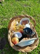 Camping e cabanas Eco da Natureza