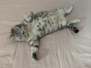 Top La Celle-sous-Gouzon