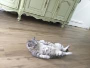 Top La Celle-sous-Gouzon