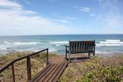 Seas the Breeze