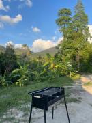 The Whispering Palm Coconut Lane