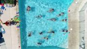 ZEcamping 3 piscine club enfant animations dog friendly hammam