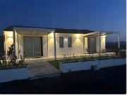 Fiori di Cactus Agave