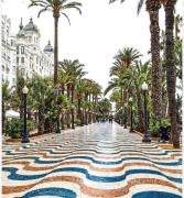 Top Alicante