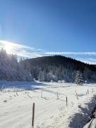 Ca Santina Rooms & Shared Kitchen