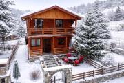 Green Forest Villa