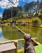 Top Bocaina de Minas