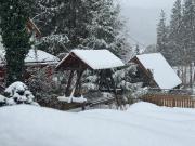 Villa Garden Balvanyos