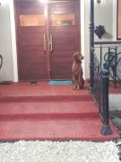 La Amelia Mar de Cobo