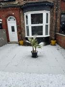 Top Stockton-on-Tees