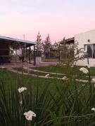 Top Camba Punta