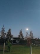 Top Camba Punta