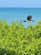 Cabaña Azores, Barú, Cartagena
