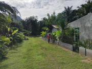 Top Ban Chong Phli