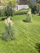 Къща Бети самостоятелни апартаменти с двор край Пловдив