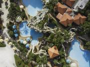 Top Orlando