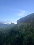 Angels View Cottage Ella