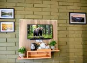 Silver wings Kasauli