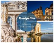 Rose des Sables VUE MER , Parking Privé , WiFi