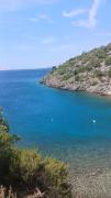 Top Senj