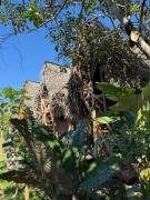 Santa catalina tipis