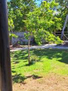 Microcasa Flor de Tangerina