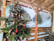 Poiana Sașilor - Valea Doftanei