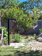 Top Santa Cruz Cabrália