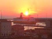 Top Livorno