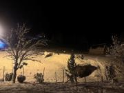 Top Podu Dîmboviţei