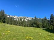 Top Podu Dîmboviţei