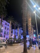 Top Bari