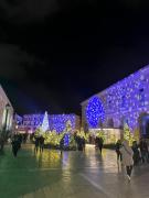 Top Bari