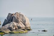 Top Ko Tao