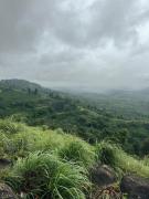 Top Wayanad