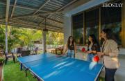 Top Alibaug