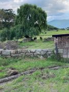 Top Wakkerstroom