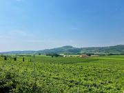 Bio Agriturismo Falezze