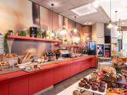 ibis Lyon Gerland Musée des Confluences