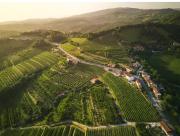 Peterc Vineyard Estate