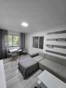 Apartment for rent with 3 rooms Iași PR07