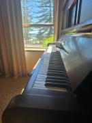 The Sea-Soul Sanctuary