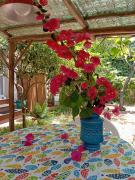 Top Santa Maria di Castellabate