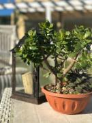 Hotel Gli Acquerelli