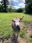 Country house! Maison de campagne!