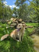 Acogedora casa rodeada de paisajes y jardines-Estancia Nirvana