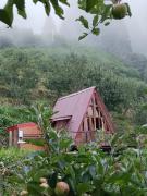 The Prism House